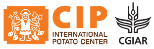 CIP Logo